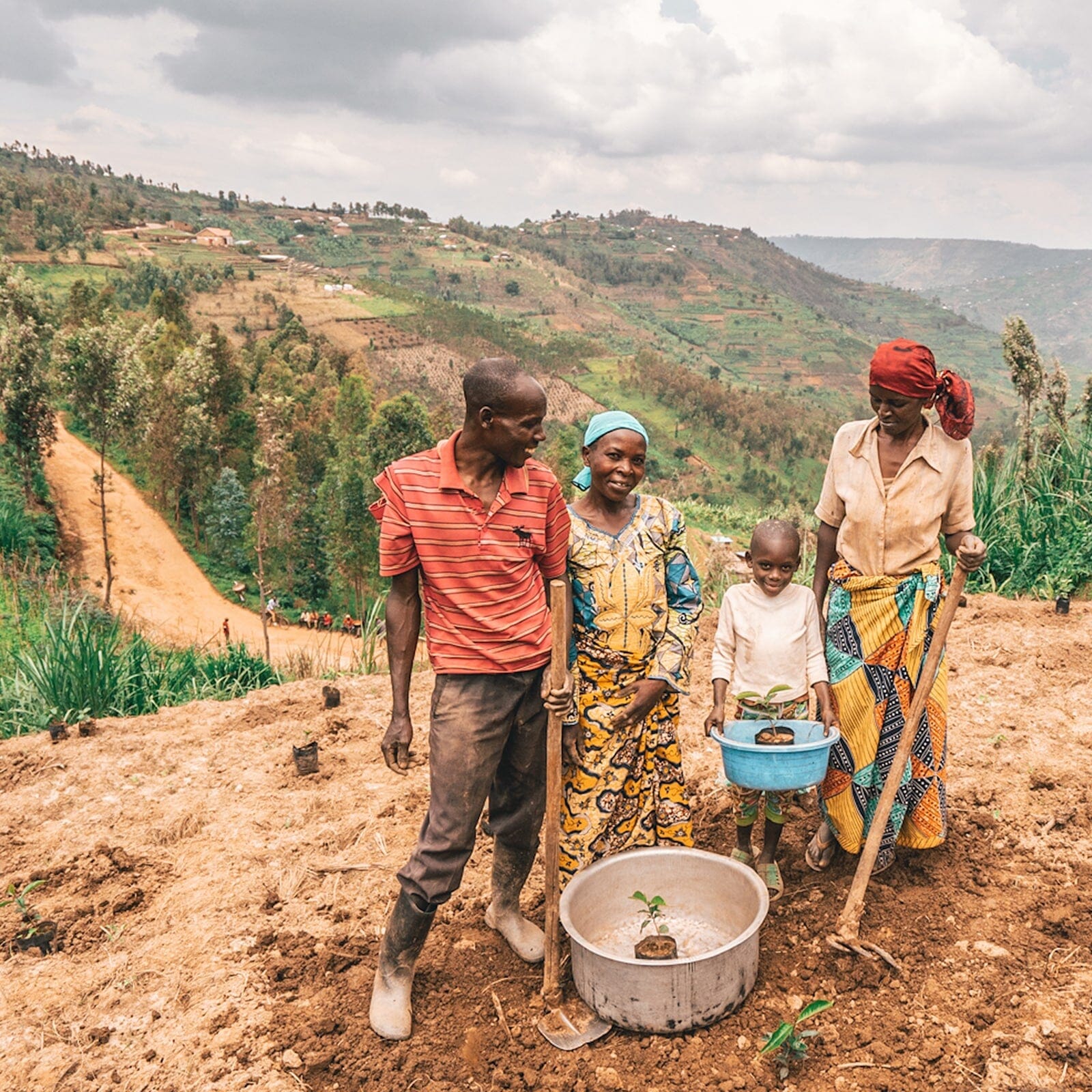 One Tree Planted Bracelet