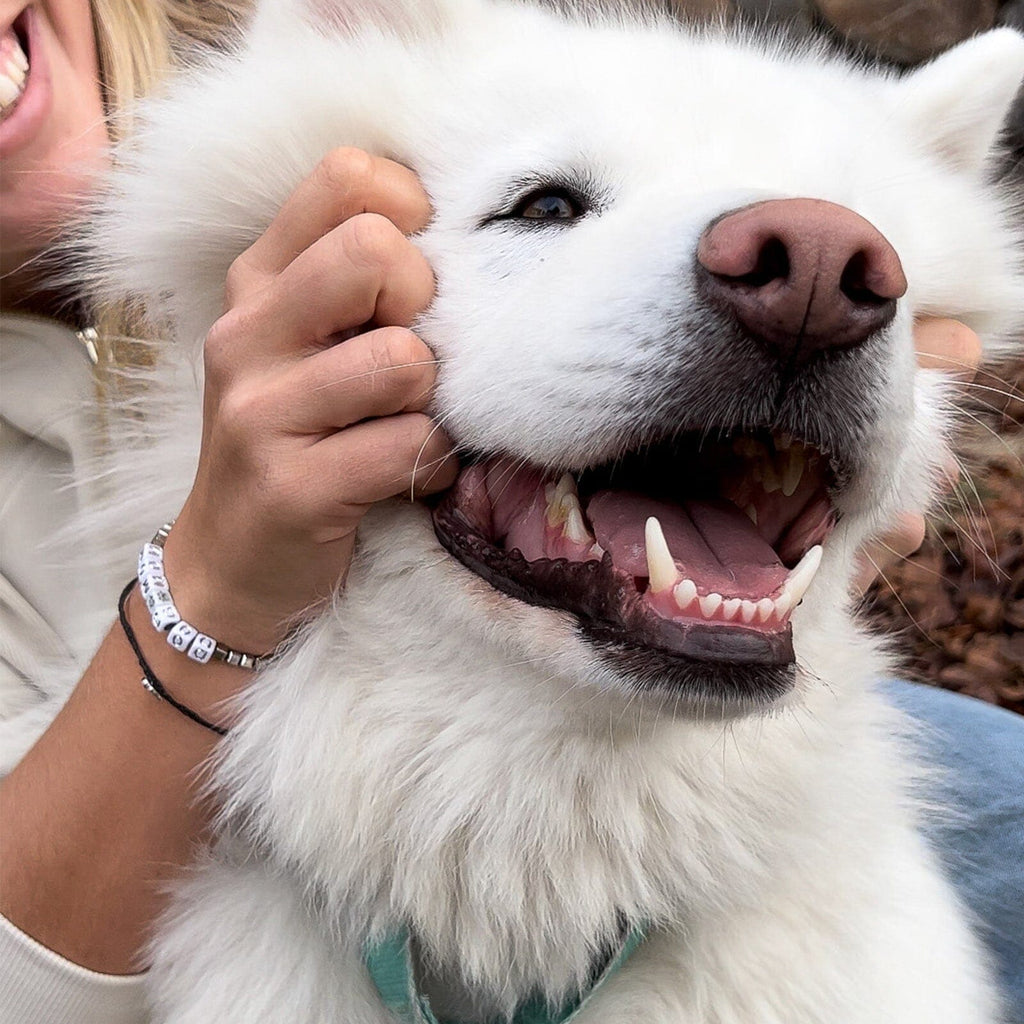 Dog Mom Stretch Bracelet