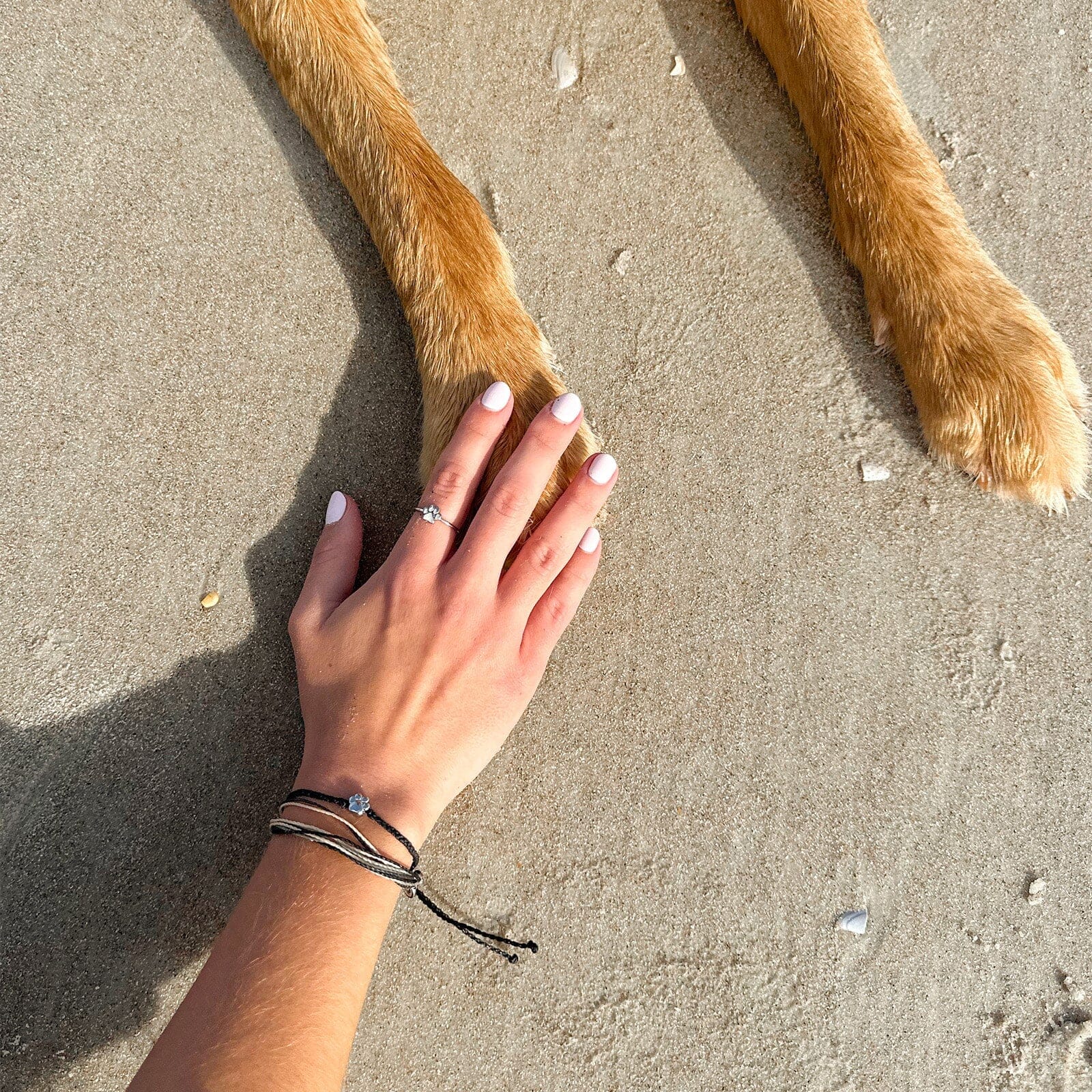 Paw Bead Charm Bracelet