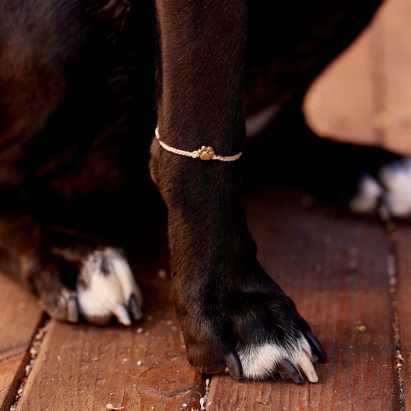 Paw Bead Charm Bracelet