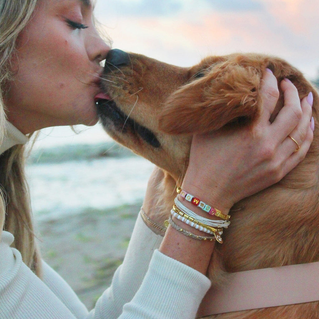 Pet Rescue Style Pack