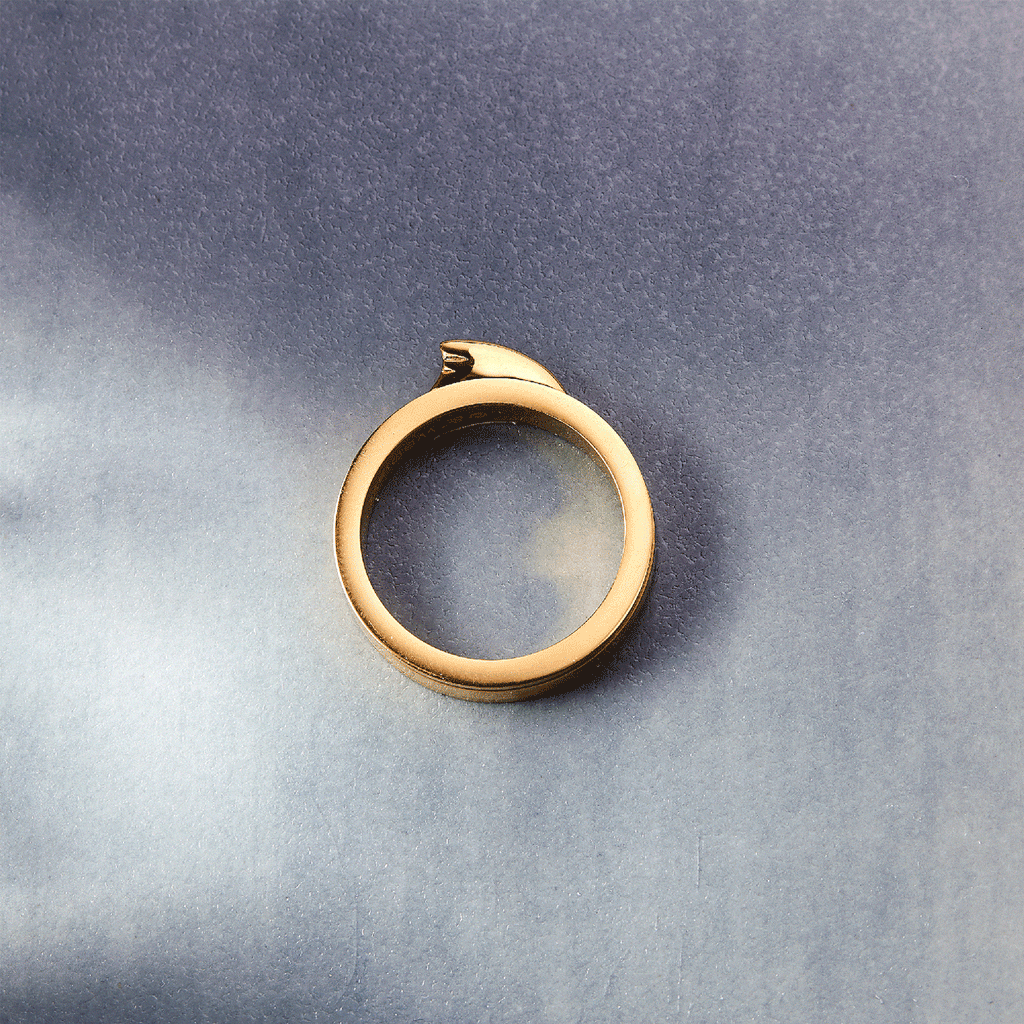 Shark Fin Fidget Ring