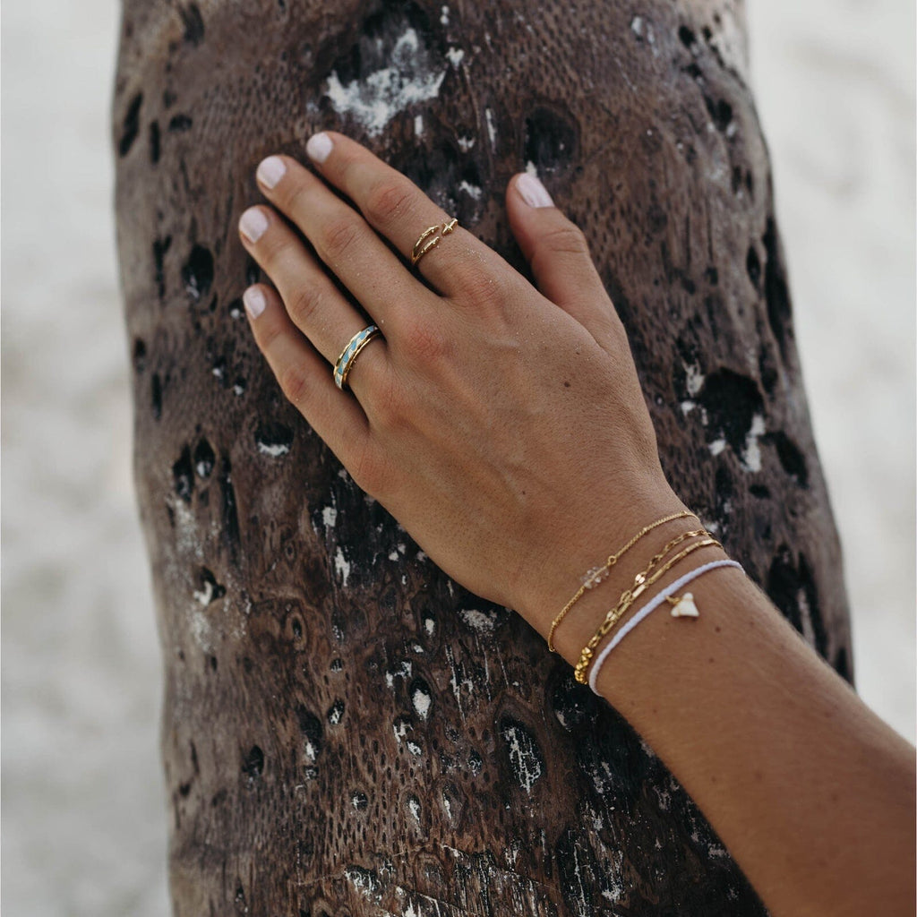 Enamel Fin Fidget Ring