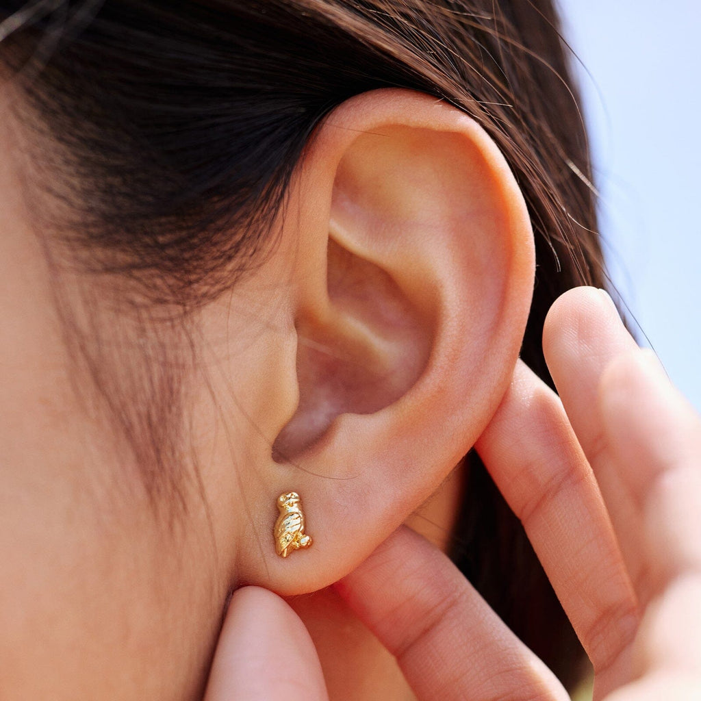 Harry Potter™ Mixed Stud Pack