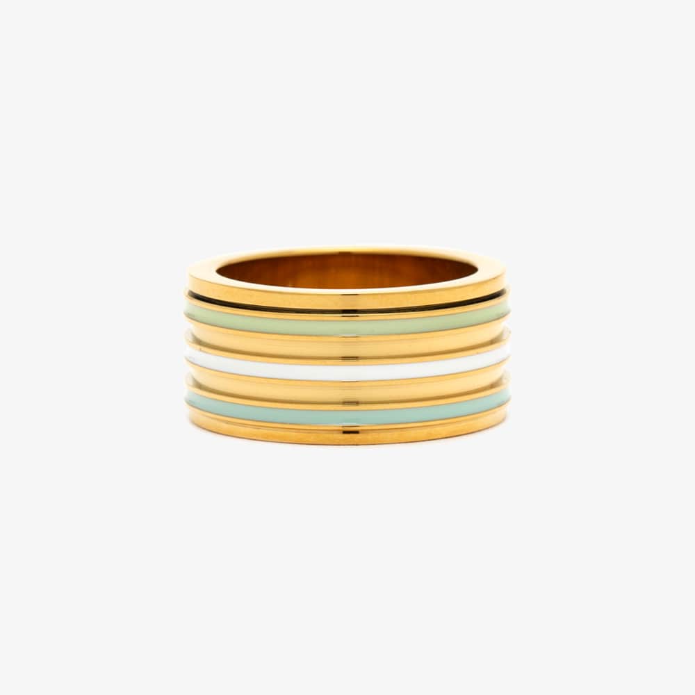 Wide Enamel Stripe Fidget Ring