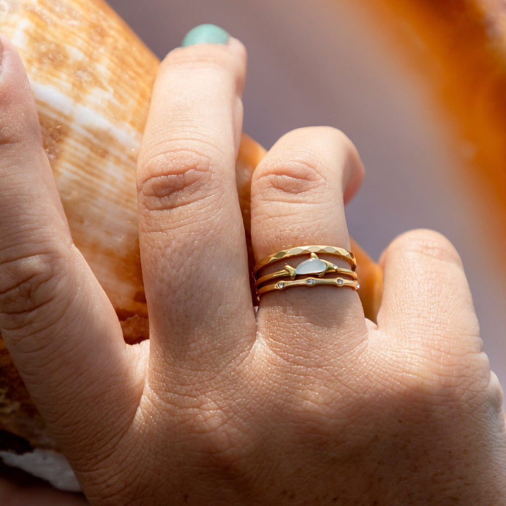 Shark Shimmer Ring Stack
