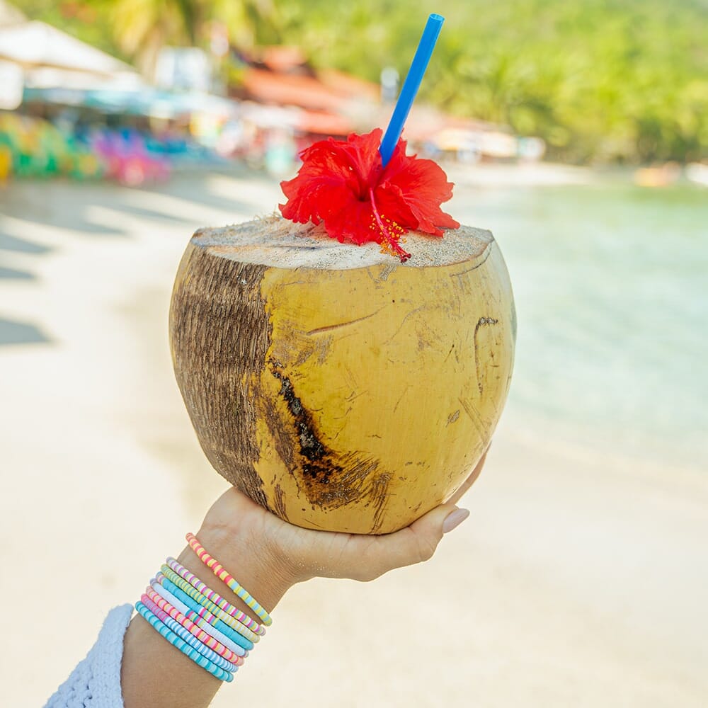 Lot de 8 housses extensibles Fortune Beach