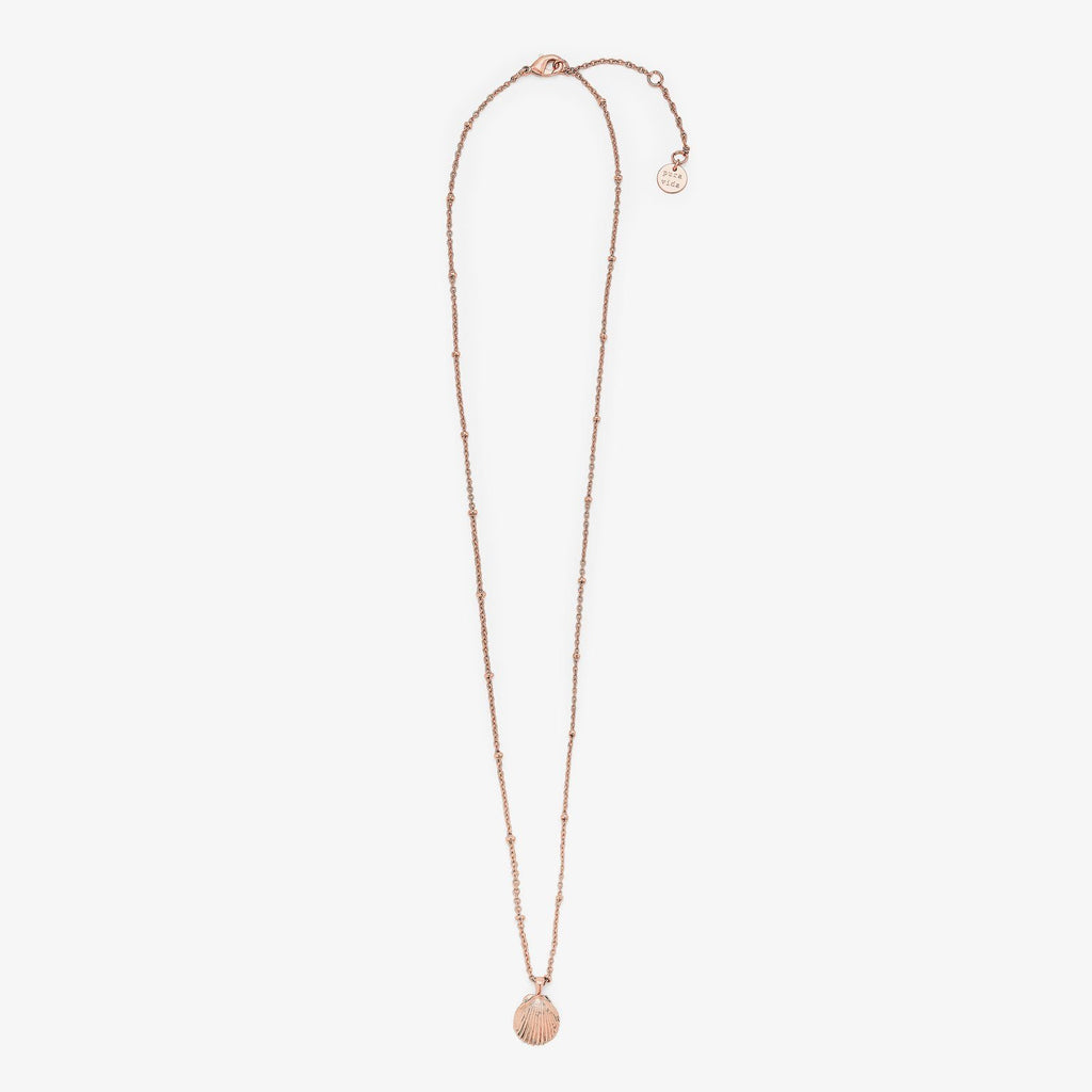 Satellite Shell Pendant Necklace